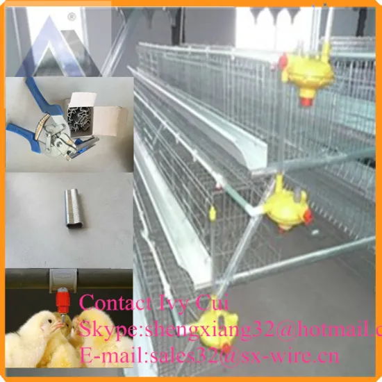 Galvanized Iron Wire Layer Chicken Battery Cage Hot Sale