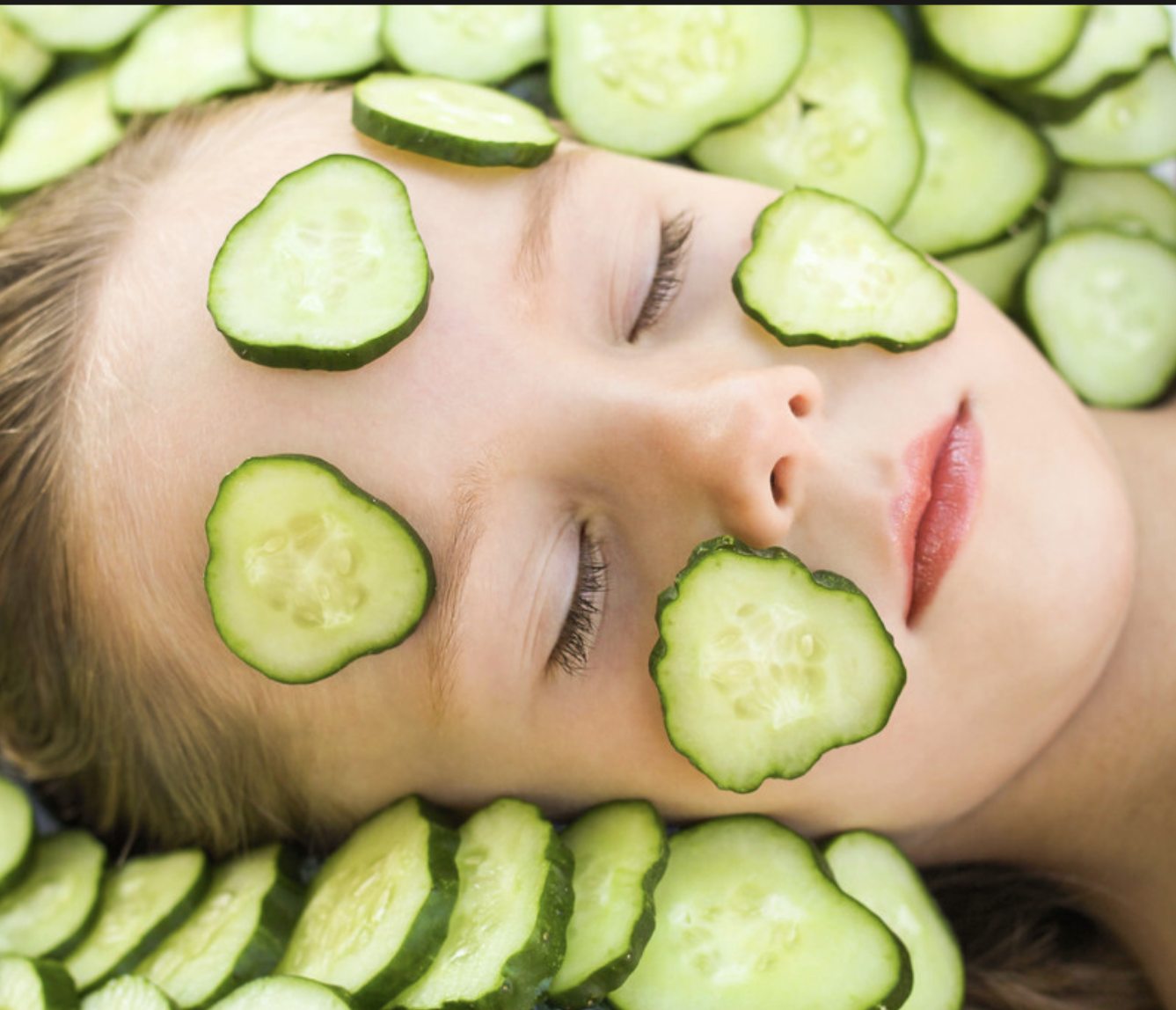 Cucumber Extract Powder Supplier