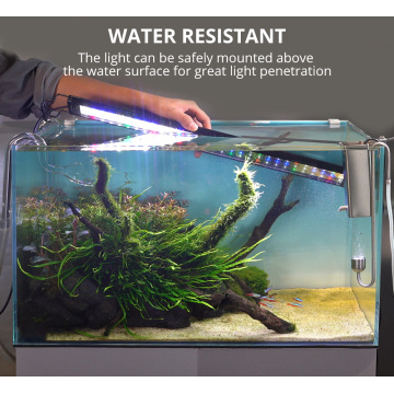 Lampe à LED du réservoir de poisson RGBW avec minuterie