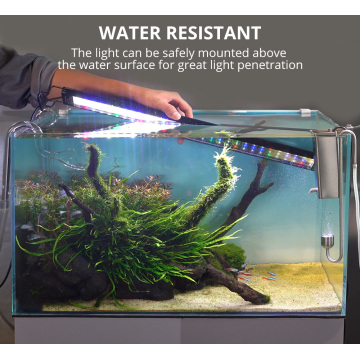 RGBW Fish Tank LED Lamp with Timer