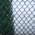 50x50mm PVC Coated Chain Link Fence 50x50mm hot dipped galvanized chain link fence Supplier