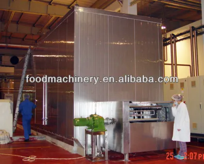 Multi-layer Tunnel Quick Freezer