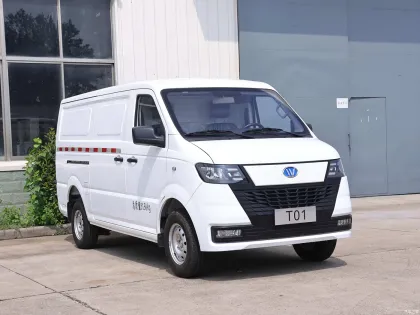 EU Certified Wanxiang T01 Logistics Van for New Energy Cargo Transport