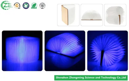 Environmental Protection Wood Lumio Book Lamp