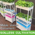 Mini Garden Vertical NFT Hydroponic System für Kopfsalat