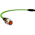 M12 أنثى إلى RJ45 D-Code Connection Cable