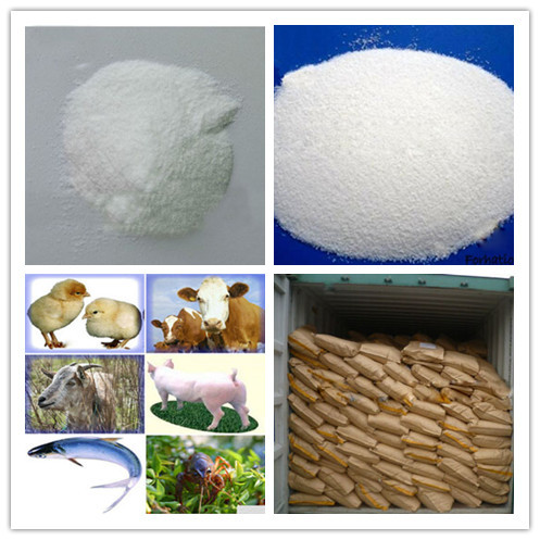 Animal Additives Betaine