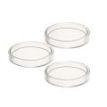 High Quality Transparent Glass Petri Dishes 100mm