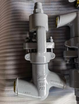 DN50 PN320 F22 SW Connection Globe Valve