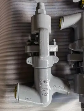 DN50 PN320 F22 SW Connection Globe Valve