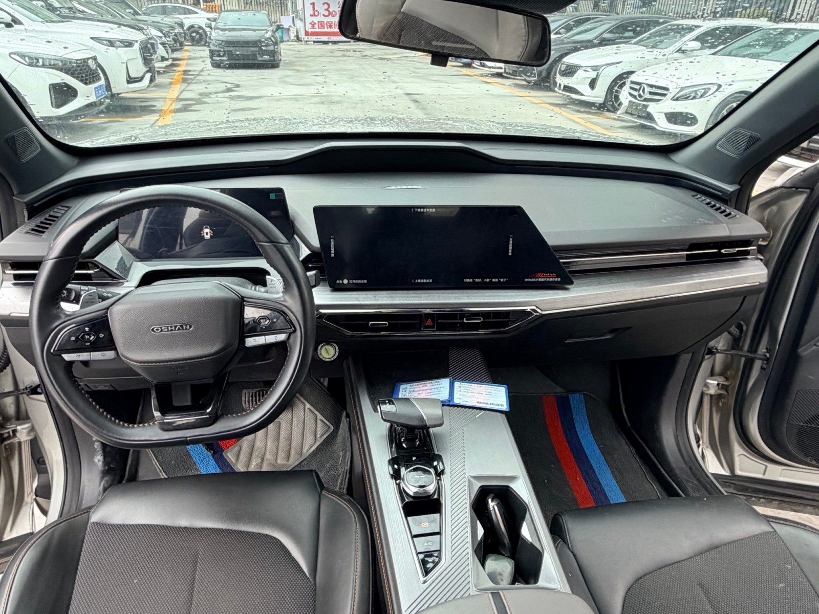 Z6 2023 Blue Whale 1.5TDCT