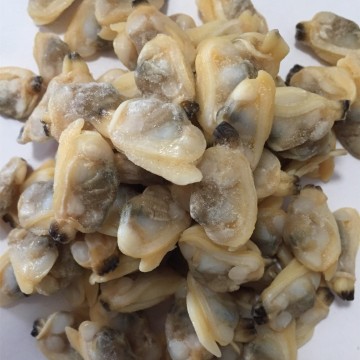 Clam Meat in Shellfish Search Engine