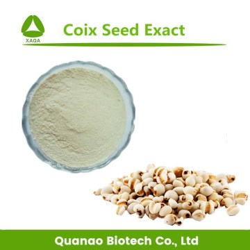 Coix Seed Exact Semen Coicis Extract Jobstears Powder