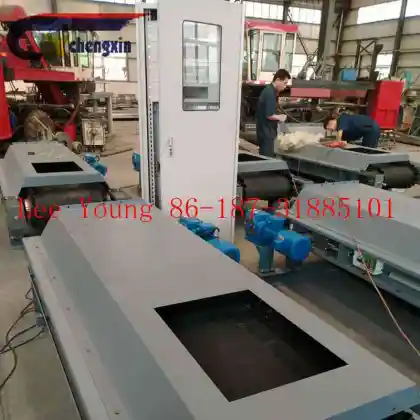 Electronic Constant Belt Weigh Feeder for Cement