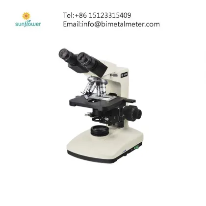 Budget-Friendly Scanning Electron Microscope (SEM) Solutions: Affordable SEM Devices and Technologies