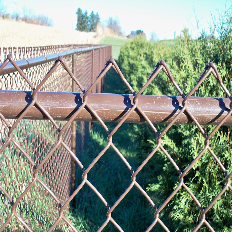 Chain link fence mesh