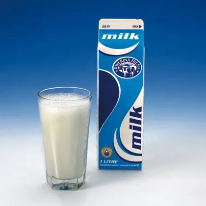 2000L/H Industrial Dairy Milk Drinks Pasteurizer Machine