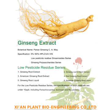 98% Gingseng-Extrakt Pulver Ginsenosid rg3 rh2