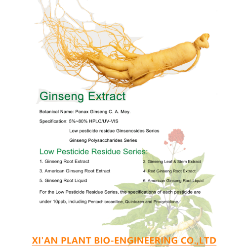 98% extracto de gingseng en polvo ginsenoside rg3 rh2