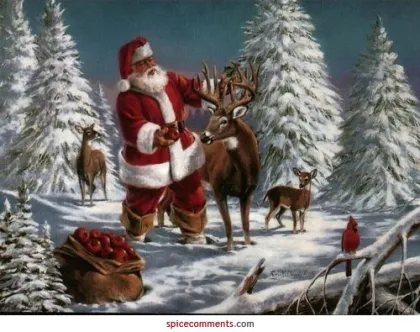 ZED-Bull Key Programmer