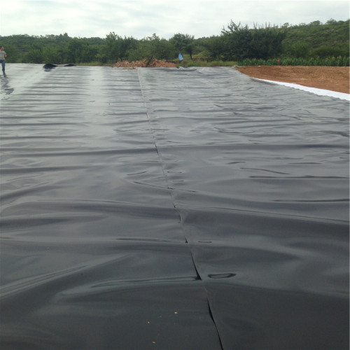 Fish Farming Prix Geomembrane Hdpe