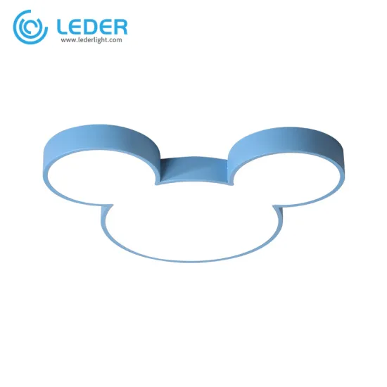 LEDER Cool Flush Ceiling Lights