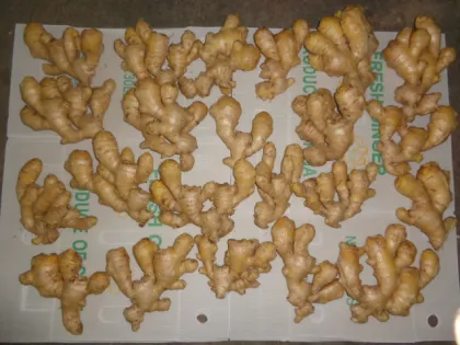 organic fresh anqiu ginger