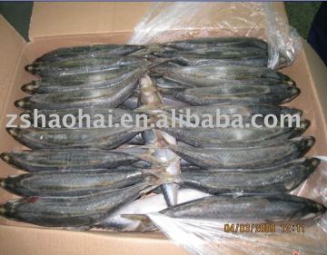 Frozen Mackerel fish size 100/200g