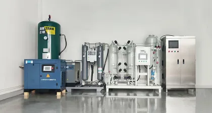 Professional 100g PLC Ozone Generator for Textile Washing and Bleaching