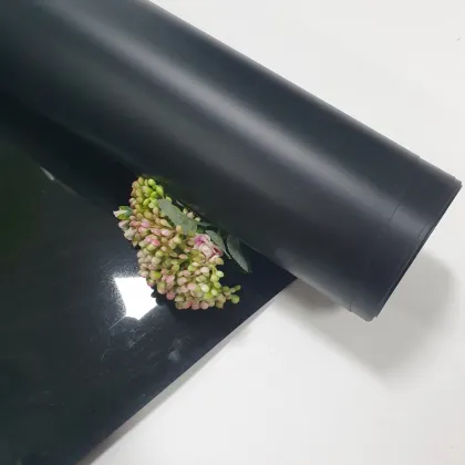 natural color pp film thermoforming into bottom tray