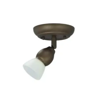 1-Light Bronze Wall Light Fixture