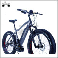 EBIKE COMPANY WHOLESALE NEW ARRIVAL LI-ION BATTERY MID DRIVE EBIKE