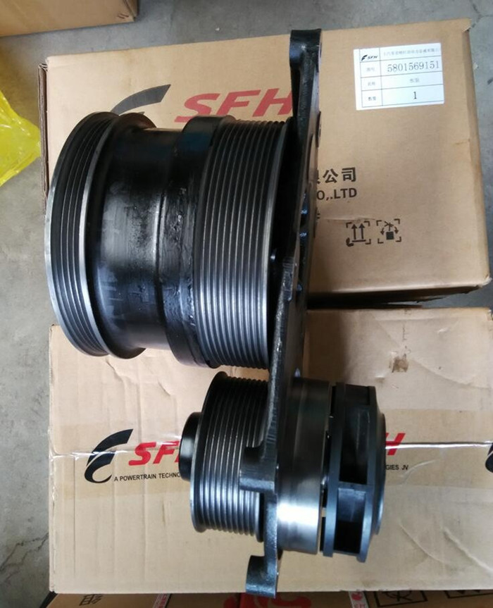 5801569151 17400-50821 Genlyon Hongyan Truck Parts