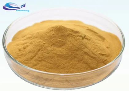 Organic Soybean Extract Soy Isoflavones Powder