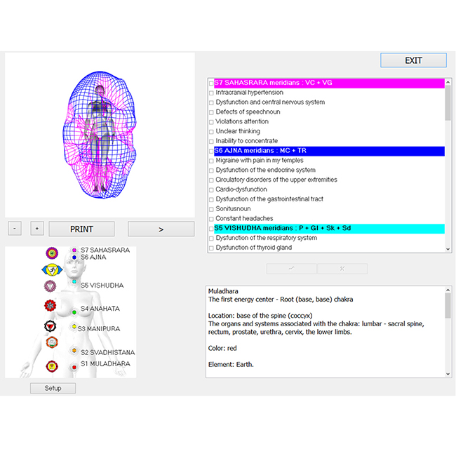 9d quantum analysis aura chakra detector