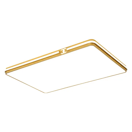 INSHINE Led Hanging Small Ceiling Lights