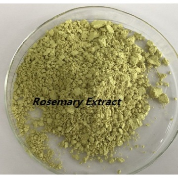 Factory pregnancy organic rosemary extract powder for skin