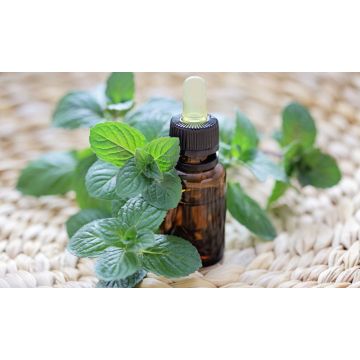 Aceite esencial de menta verde OEM