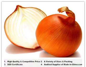Fresh Red & Yellow Onions