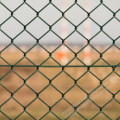 Green Coated Chain Link Fence