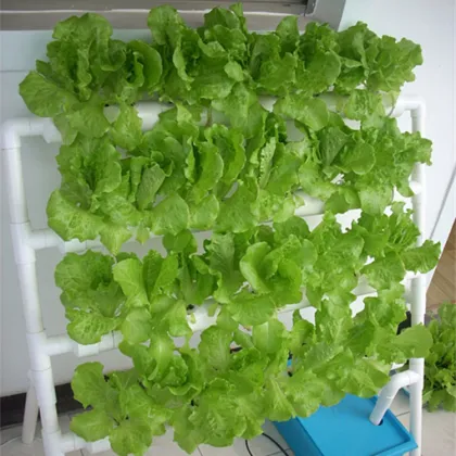 DIY Plastic Vertical NFT Hydroponics System for Indoor Gardening