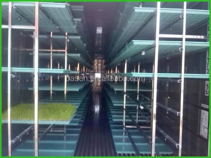 Greenhouse Hydroponics and Animal Feeding: Hydroponic Fodder Machines