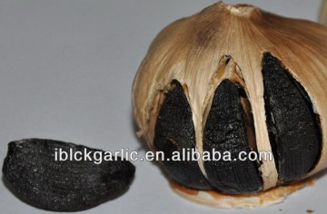 Back Garlic Bring You Delicious Cooking