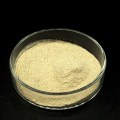 inactive dried yeast for cattle feed