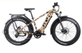 Bicicletta elettrica con batteria al litio di alta qualità da 48V 750w