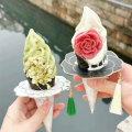 Ice cream anti melting paper tray