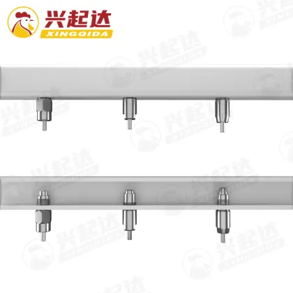 Chicken Drinkers, Feeders, and Poultry Equipment for Quail Farms