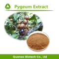 Health Care Material Pygeum African Extract Powder 10:1