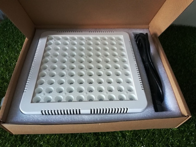 300W13