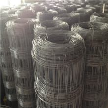 Galvanized Wire Field Fence